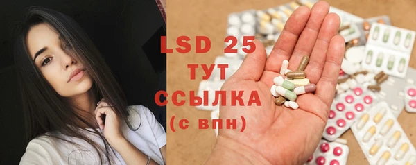 PSILOCYBIN Балахна