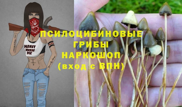 PSILOCYBIN Балахна